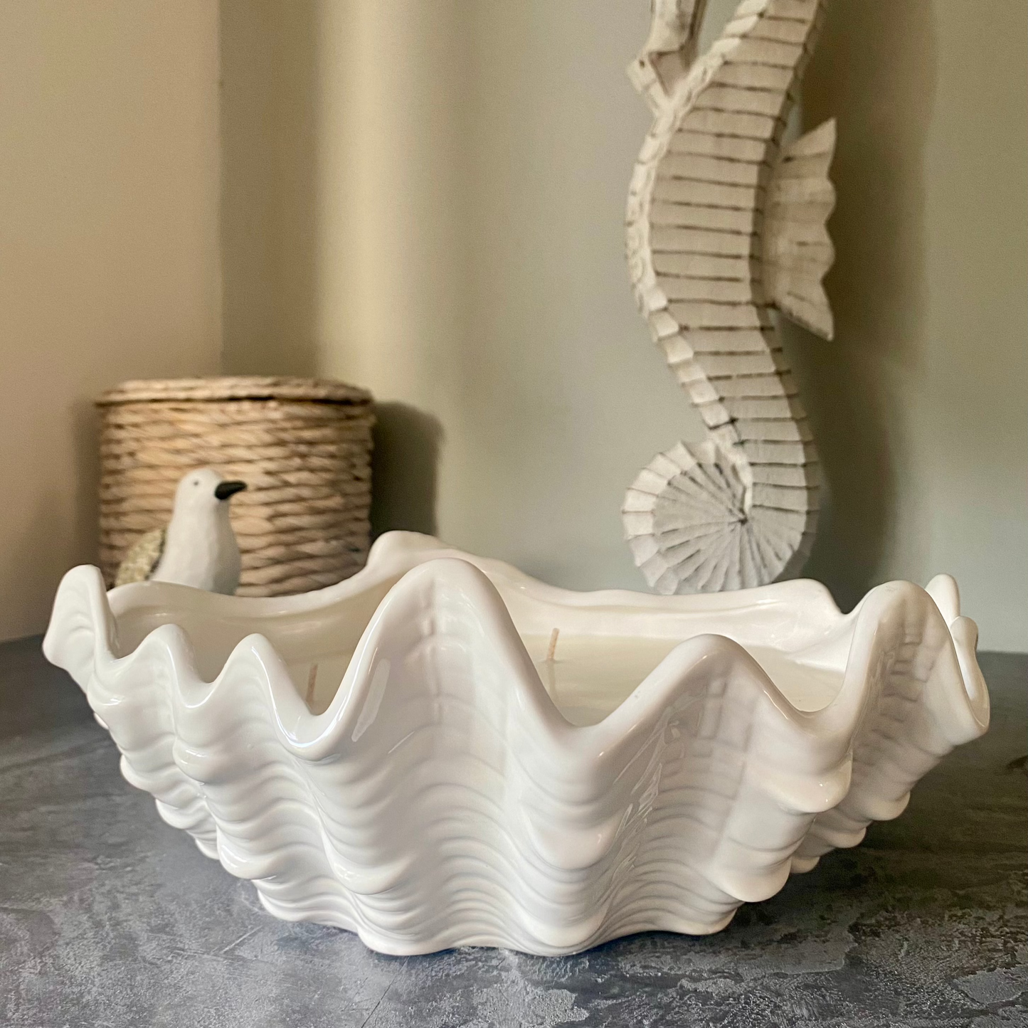 XXL Clam shell candle
