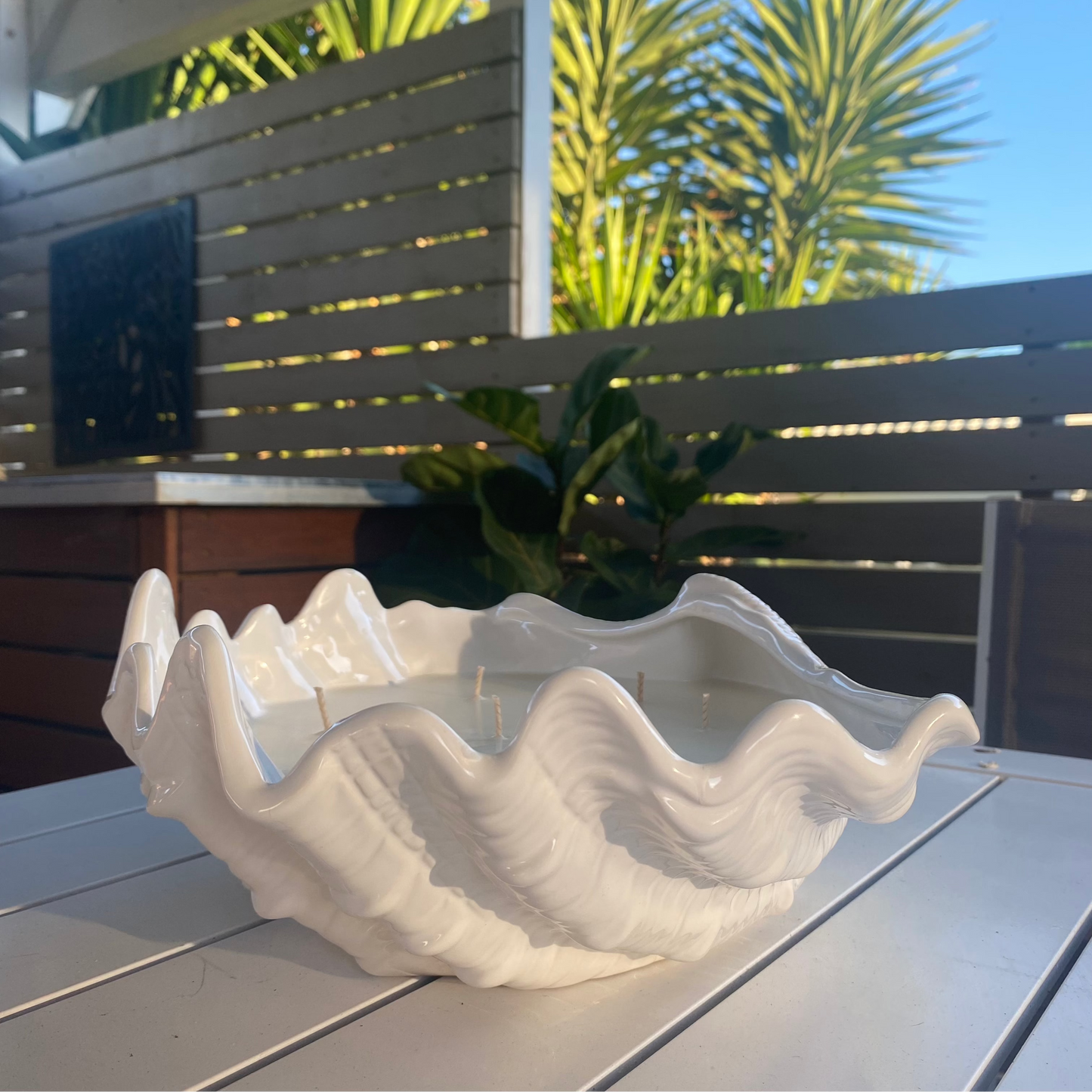 XXL Clam shell candle