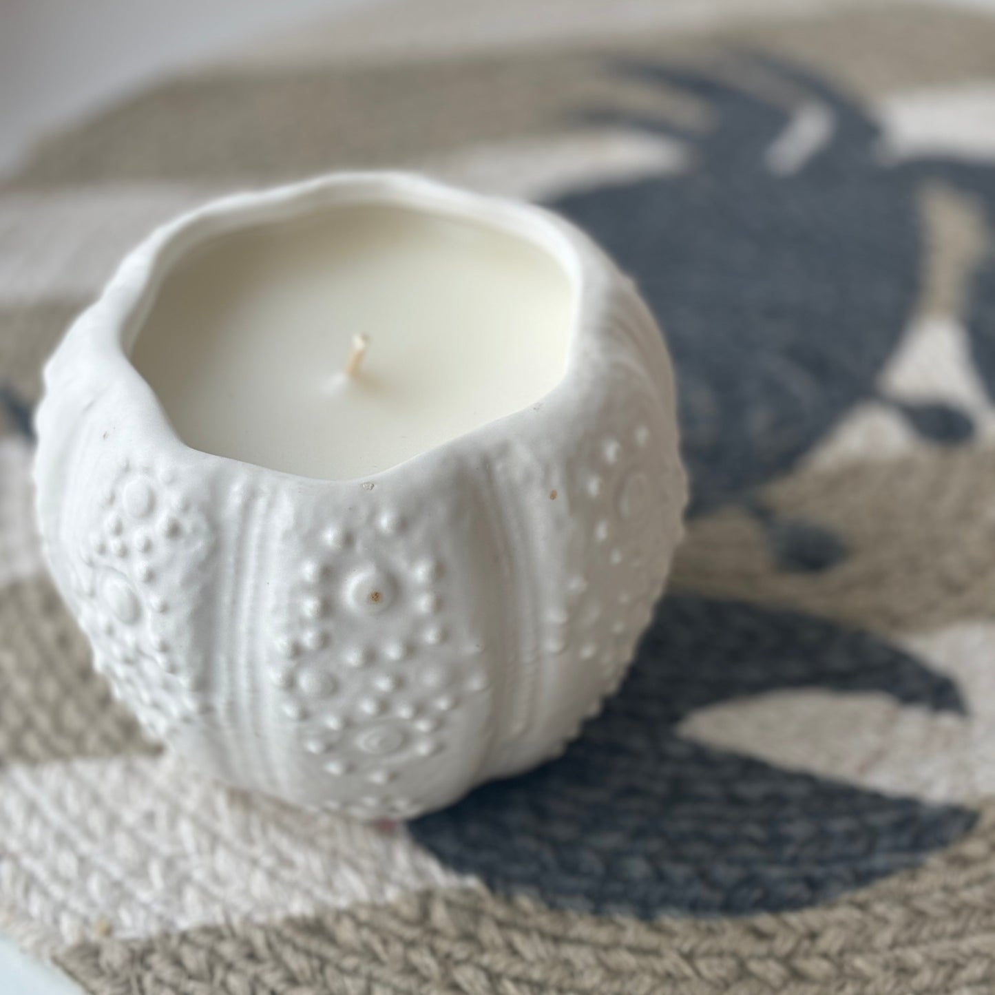 Sea Urchin Candle